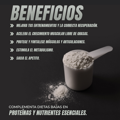 WHEY PROTEIN CHOCOLATE - Ferco Nutrition