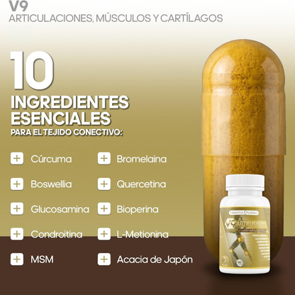 V9 Artifusion - HealthyFusion