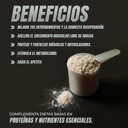 Whey Protein Vainilla - HealthyFusion