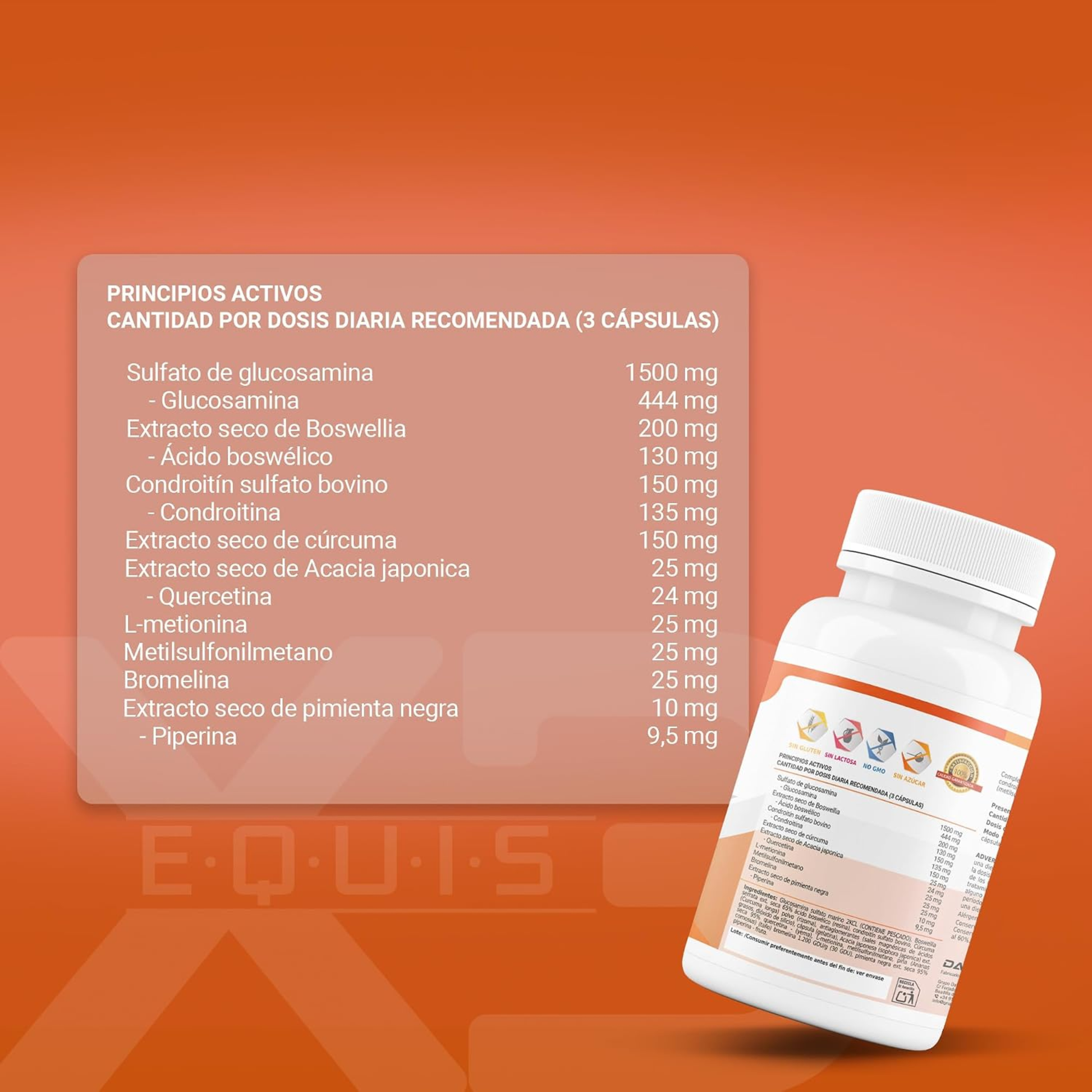 X3 Articulaciones, musculos y huesos - HealthyFusion