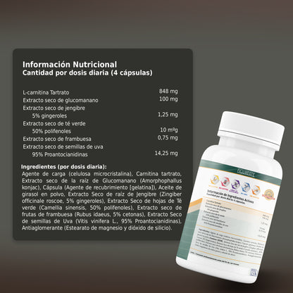 Figurízate- HealthyFusion